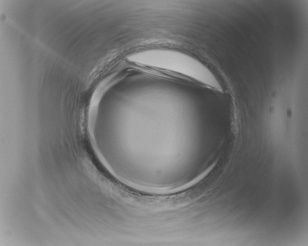 X0000051240023200507152135