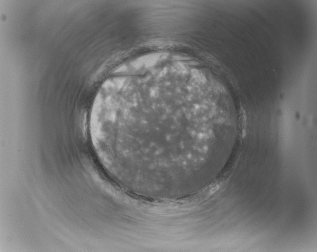 X0000051240024200507152135