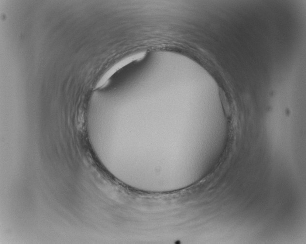 X0000051240025200507152135