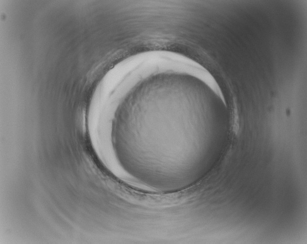 X0000051240027200507152135