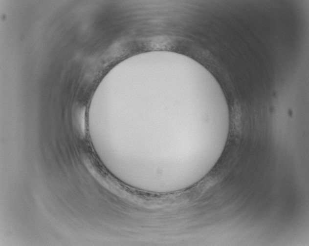 X0000051240028200507152135