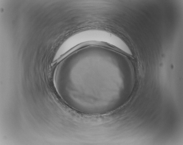 X0000051240029200507152135