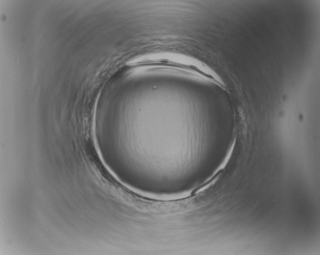 X0000051240031200507152135