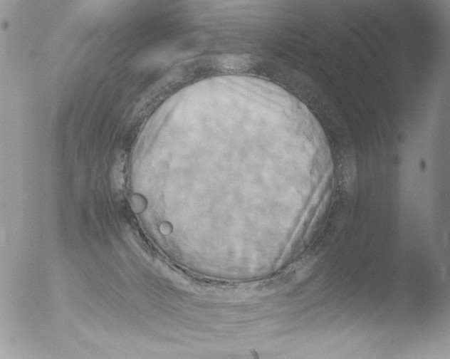 X0000051240032200507152135