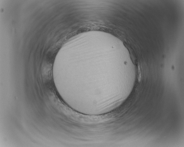 X0000051240034200507152135