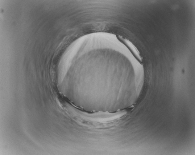 X0000051240035200507152135