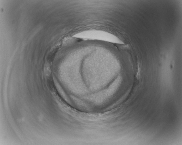 X0000051240037200507152135