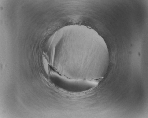 X0000051240039200507152135