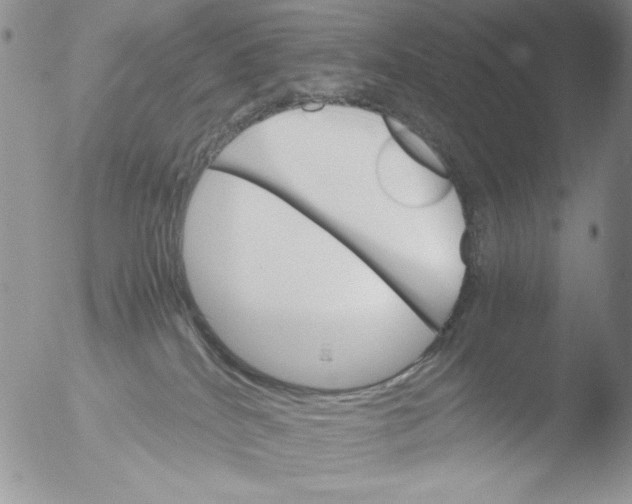 X0000051240040200507152135