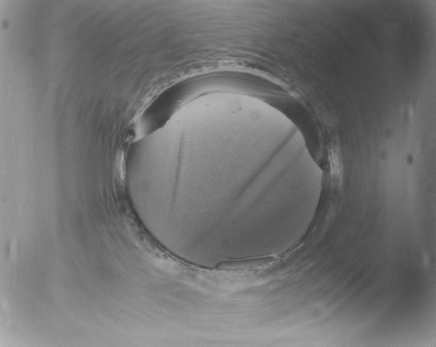 X0000051240041200507152135