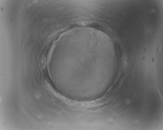 X0000051240043200507152135