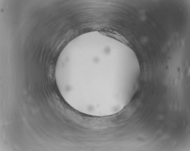 X0000051240044200507152135