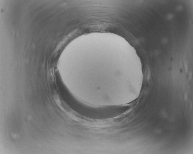 X0000051240045200507152135