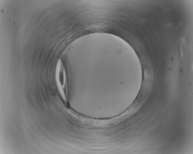 X0000051240048200507152135