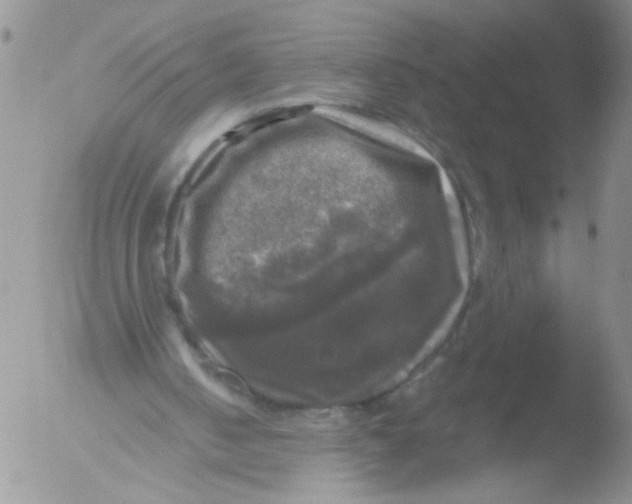 X0000051240050200507152134