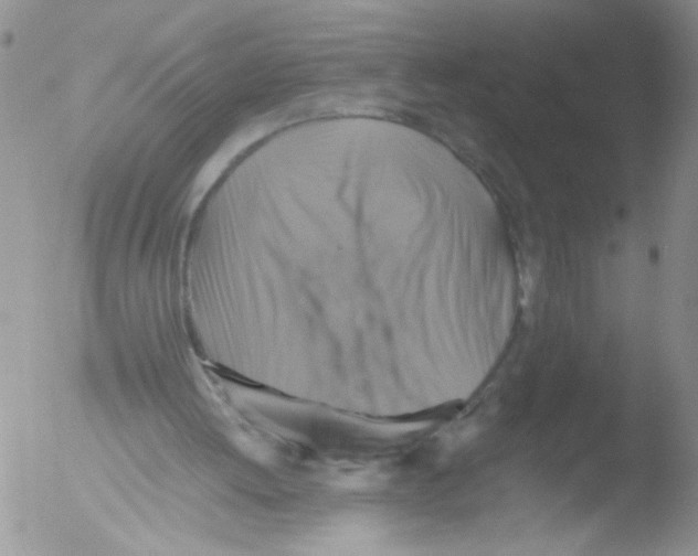 X0000051240052200507152134