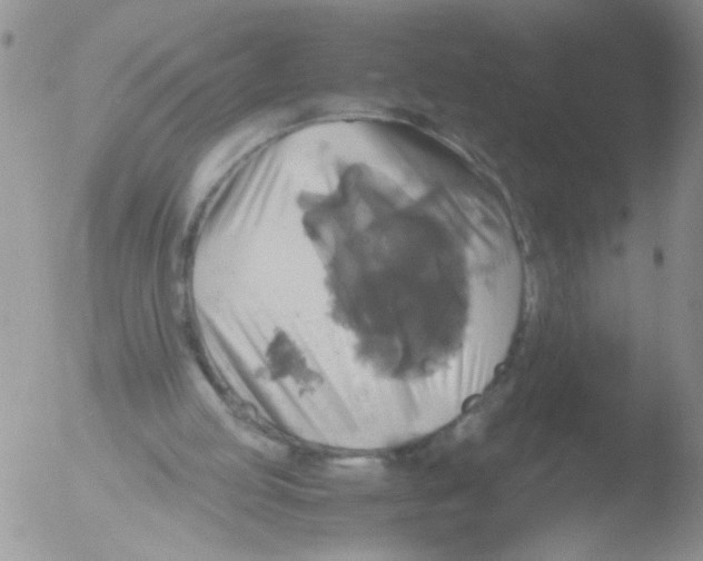 X0000051240053200507152134