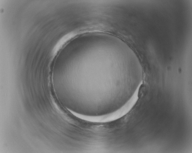 X0000051240054200507152134