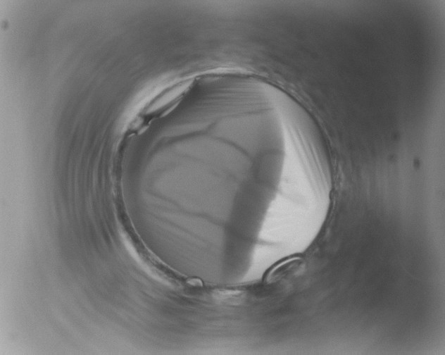 X0000051240055200507152134