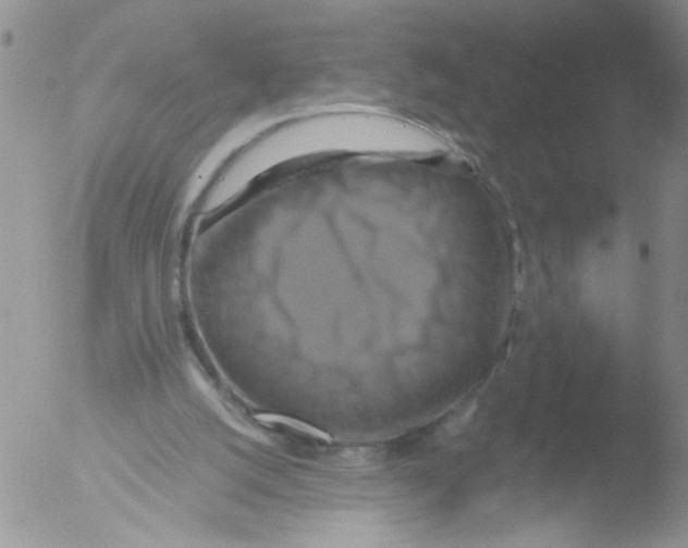 X0000051240056200507152134