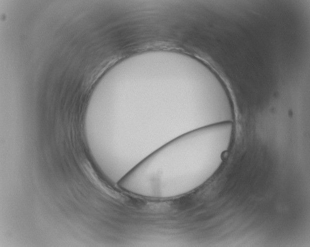 X0000051240057200507152134