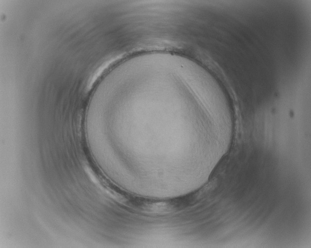 X0000051240058200507152134