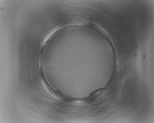 X0000051240059200507152134