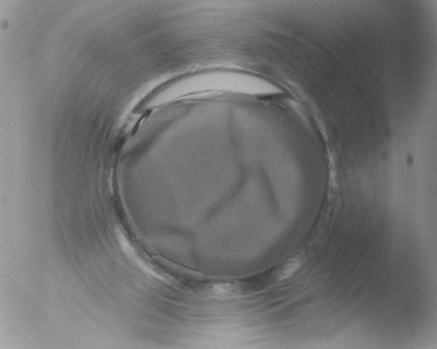 X0000051240060200507152134