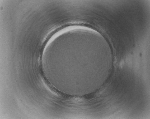 X0000051240063200507152134