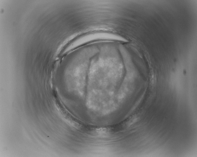 X0000051240064200507152134