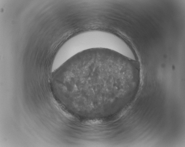 X0000051240065200507152134