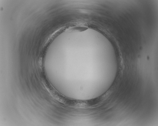 X0000051240066200507152134