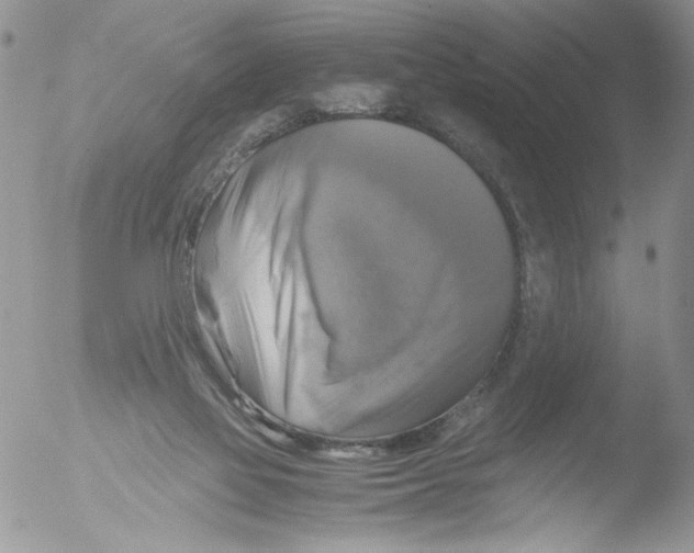 X0000051240069200507152134