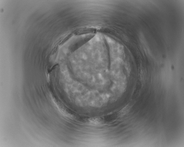 X0000051240070200507152134