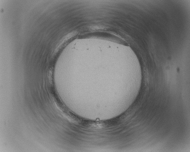 X0000051240071200507152134