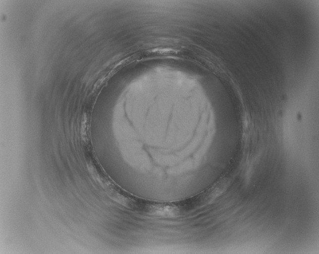 X0000051240073200507152134