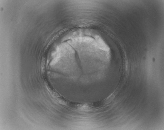 X0000051240074200507152134