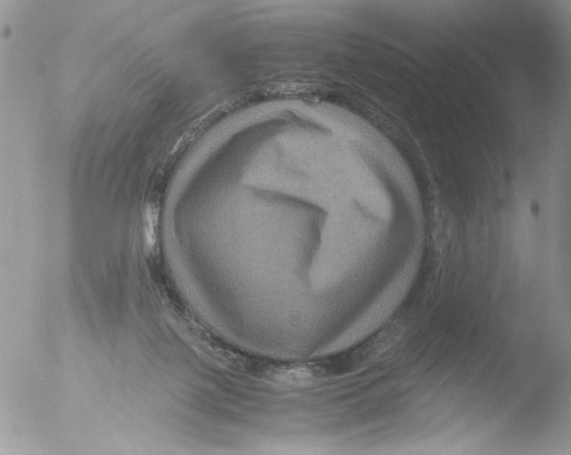 X0000051240075200507152134