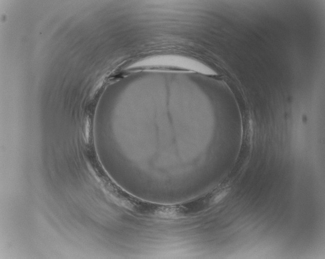 X0000051240076200507152134