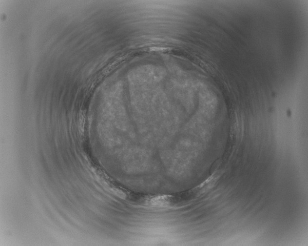 X0000051240078200507152134