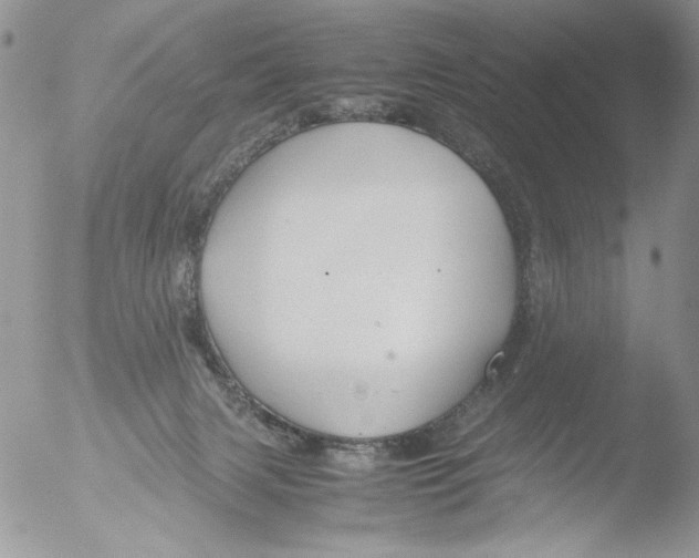 X0000051240079200507152134