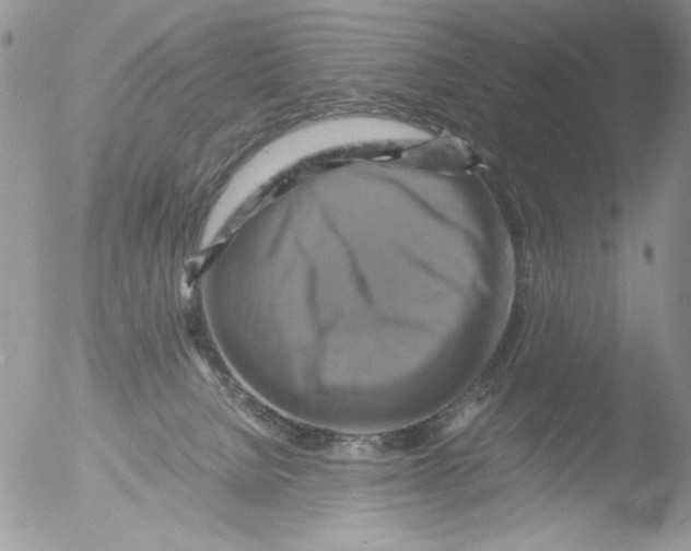 X0000051240080200507152134