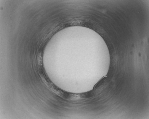 X0000051240083200507152135