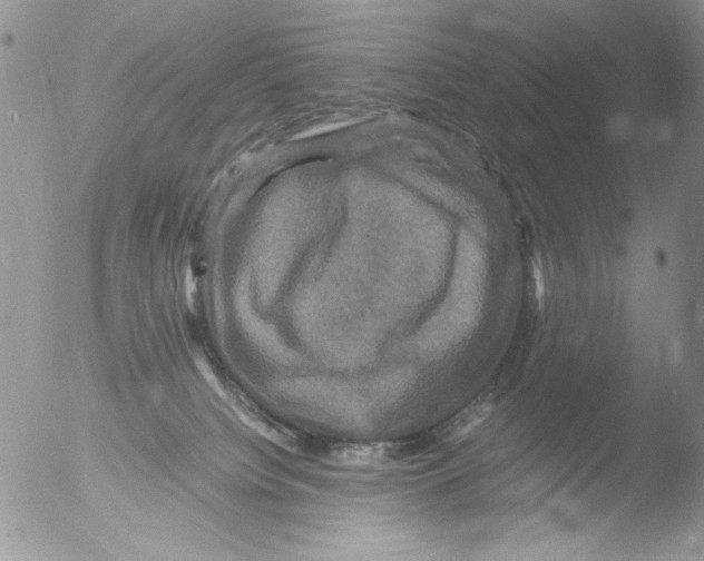 X0000051240084200507152135