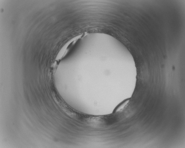 X0000051240086200507152135