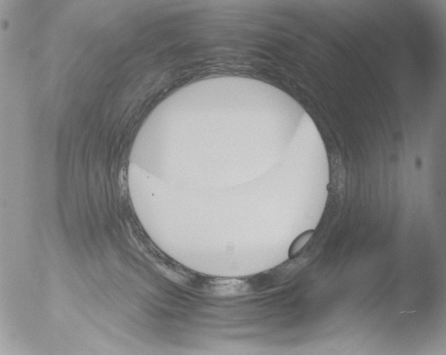 X0000051240087200507152135