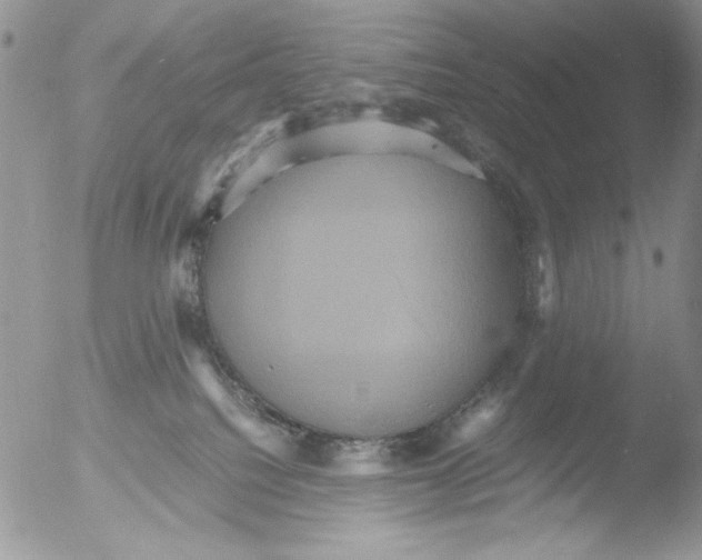 X0000051240088200507152135