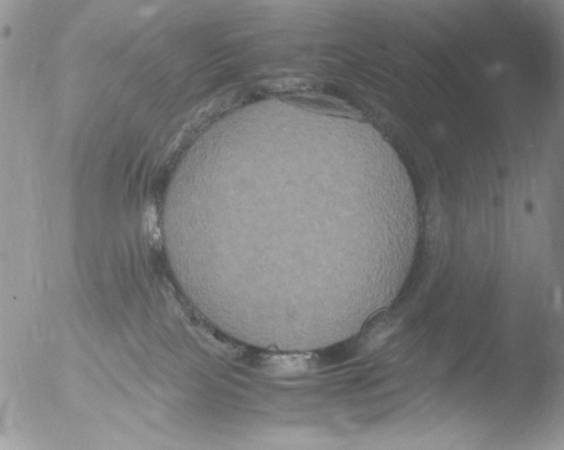 X0000051240089200507152135