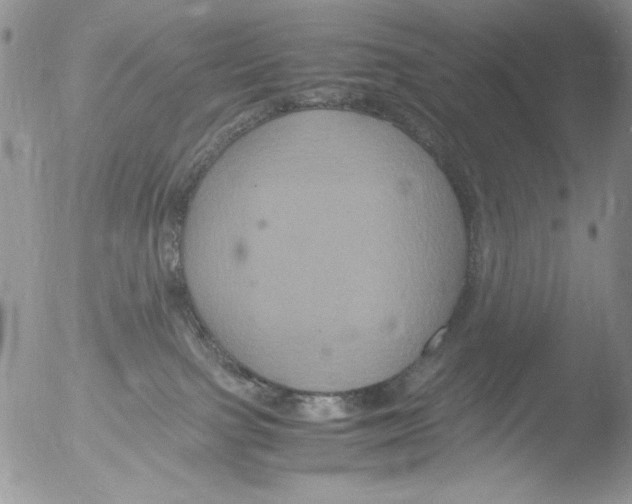 X0000051240091200507152135