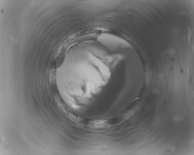 X0000051240093200507152135